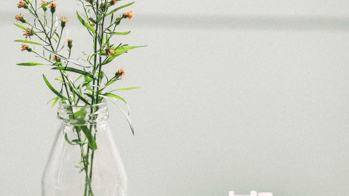 Fond blanc : l’essence de la neutralité en photographie